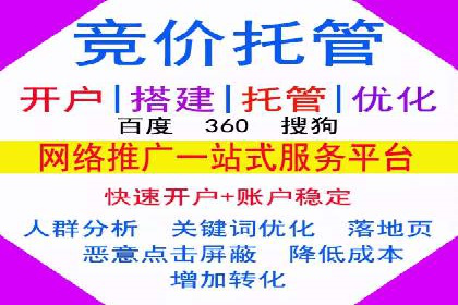SEM专员的角色与成功案例解析